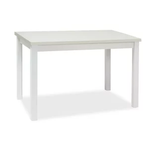 MASA  ADAM ALB  MAT 100x60