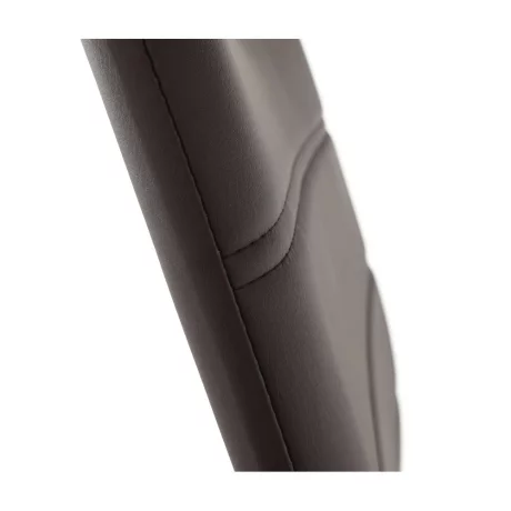 Scaun, piele ecologica maro/crom, DELA